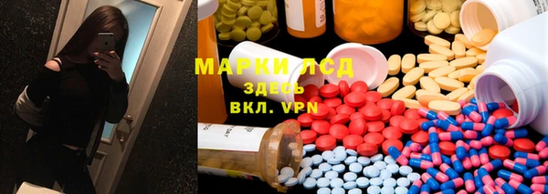 стаф Майский