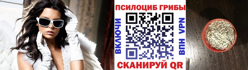 Псилоцибиновые грибы GOLDEN TEACHER  Талица 