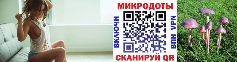 Галлюциногенные грибы Cubensis Талица
